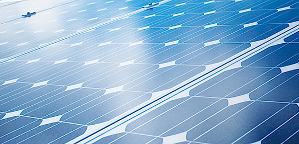 Photovoltaik bei Elektro-Wiesener MD GmbH in Magdeburg